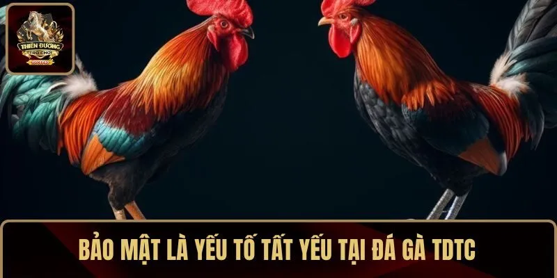 Bảo mật là yếu tố tất yếu tại TDTC