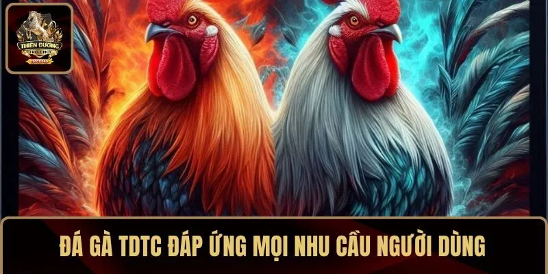 Đá gà TDTC đáp ứng mọi nhu cầu người dùng