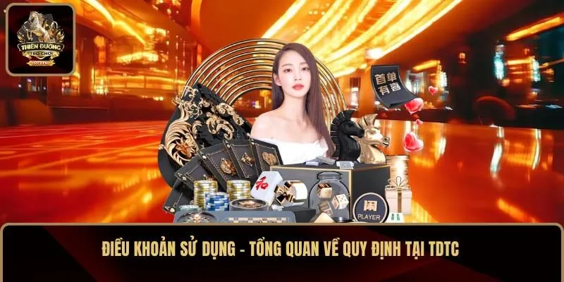 Tìm hiểu tổng quan về điều khoản sử dụng tại TDTC