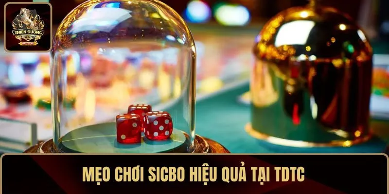 Nắm các mẹo chơi Sicbo hiệu quả tại TDTC
