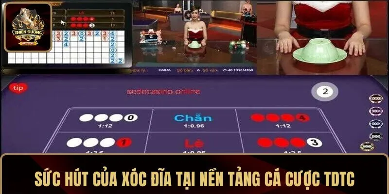 Sức hút của Xóc Đĩa tại nền tảng cá cược TDTC